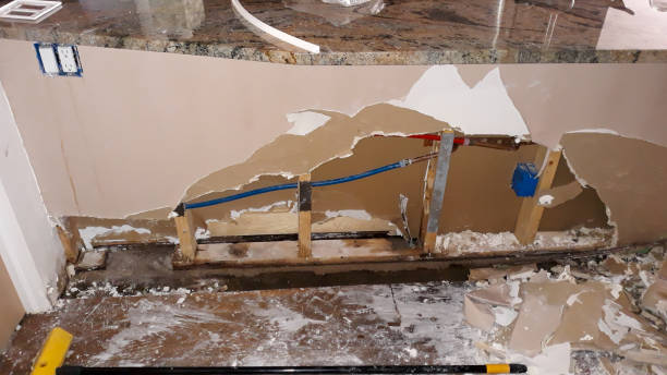 Best Mold removal after water damage  in Howards Grove, WI