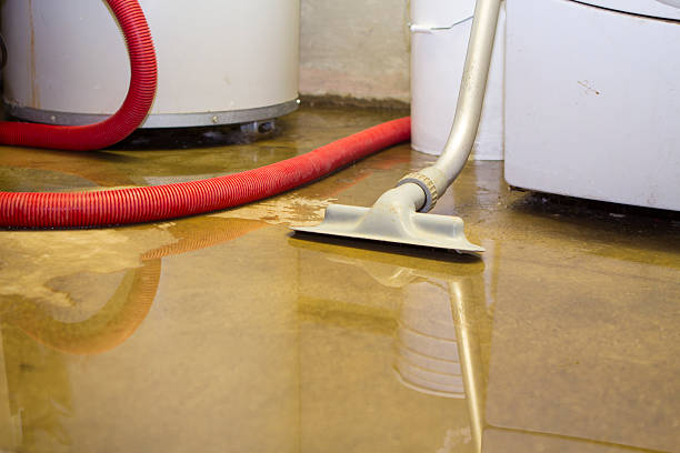 Best Local water damage restoration  in Howards Grove, WI