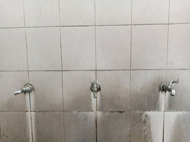 Best 24-hour water damage restoration  in Howards Grove, WI