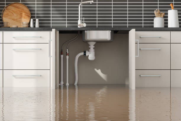 Best Commercial water damage restoration  in Howards Grove, WI