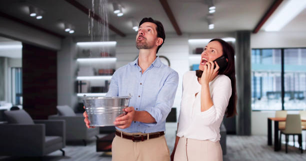 Best Mold removal after water damage  in Howards Grove, WI
